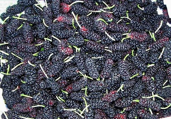 ɣ�ؾ������豸